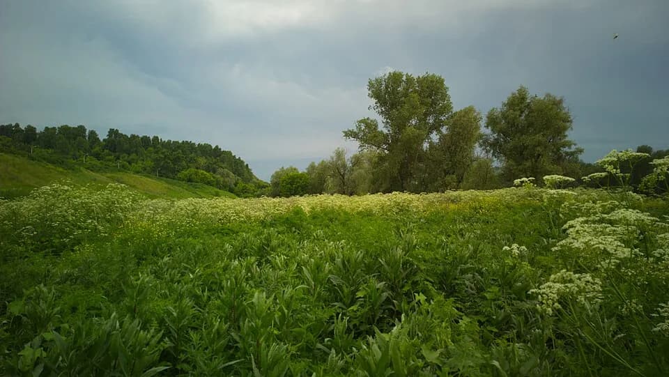 Krasnogorsky District