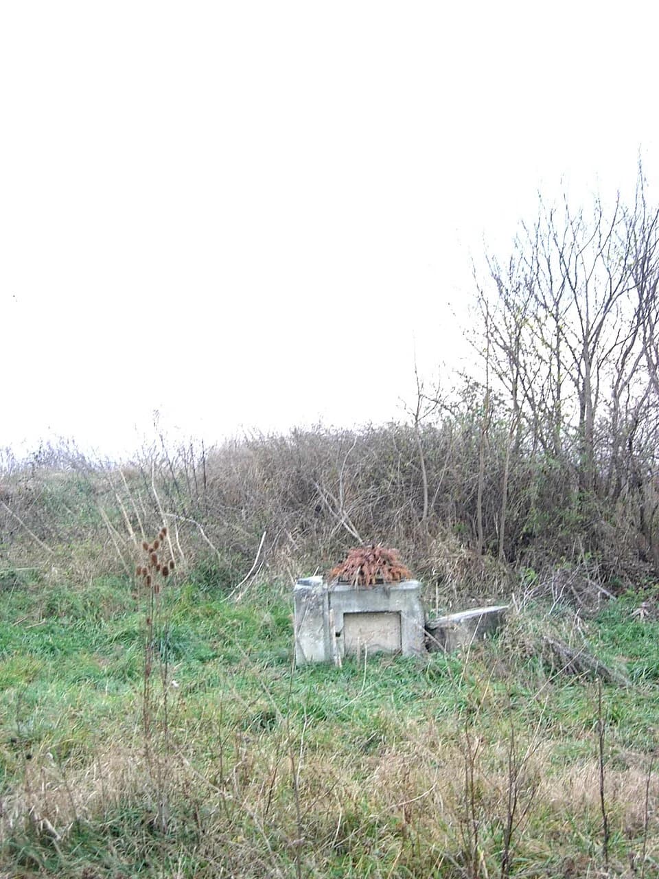 Kruševlje