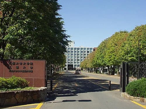 Sapporo University