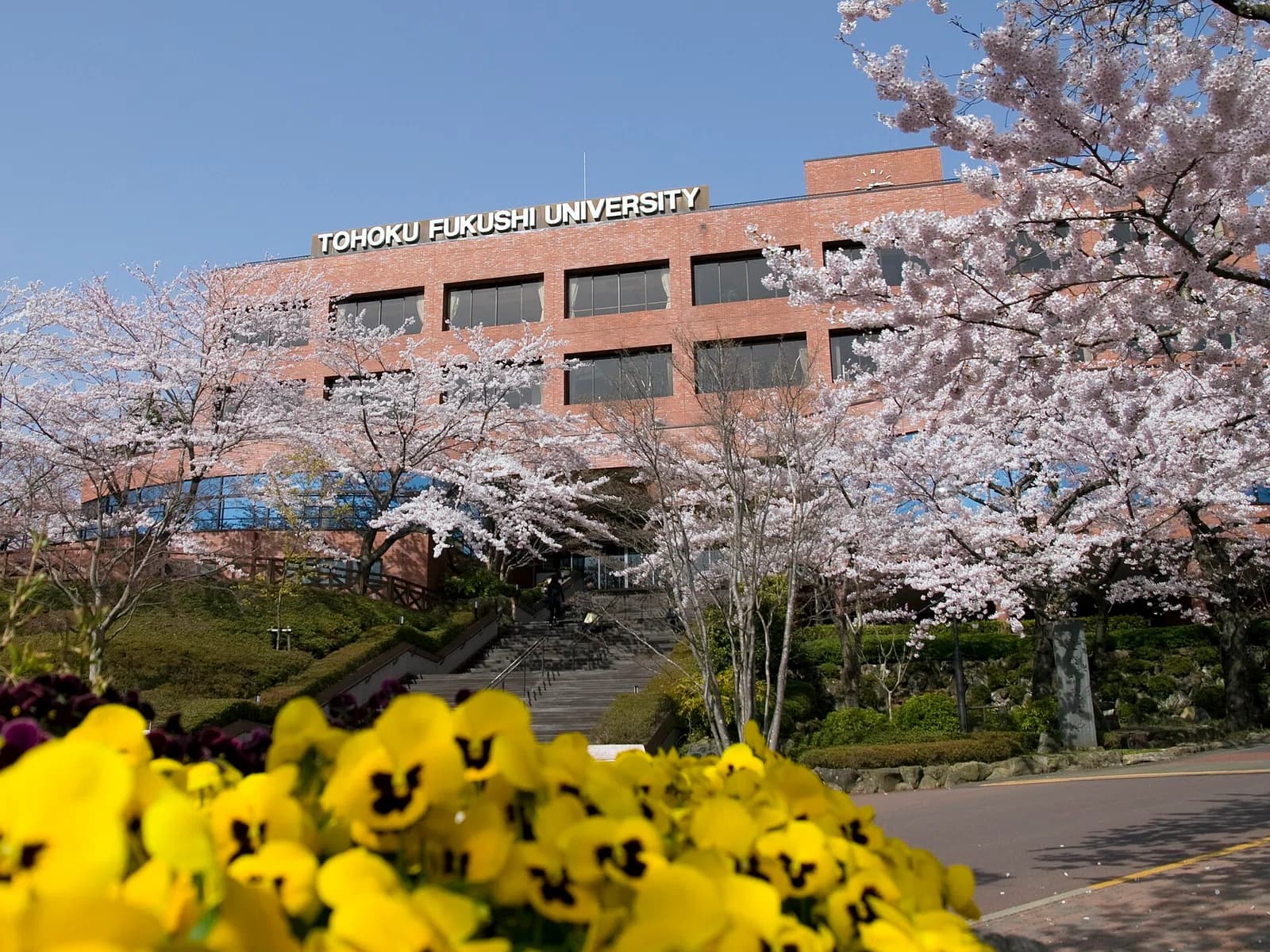 Tohoku Fukushi University
