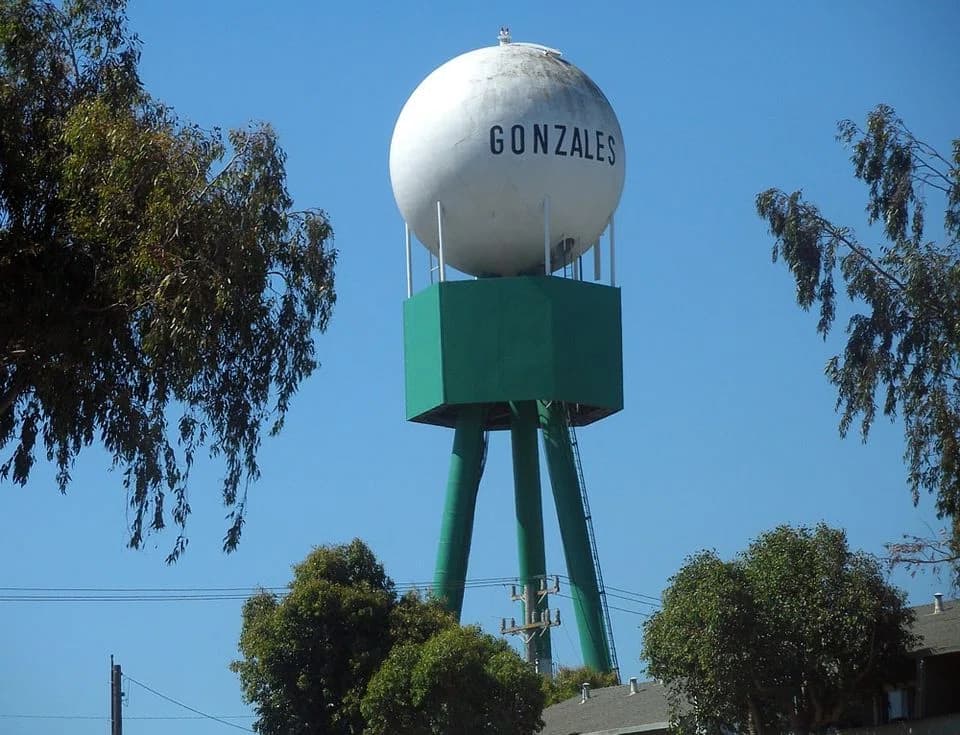 Gonzales