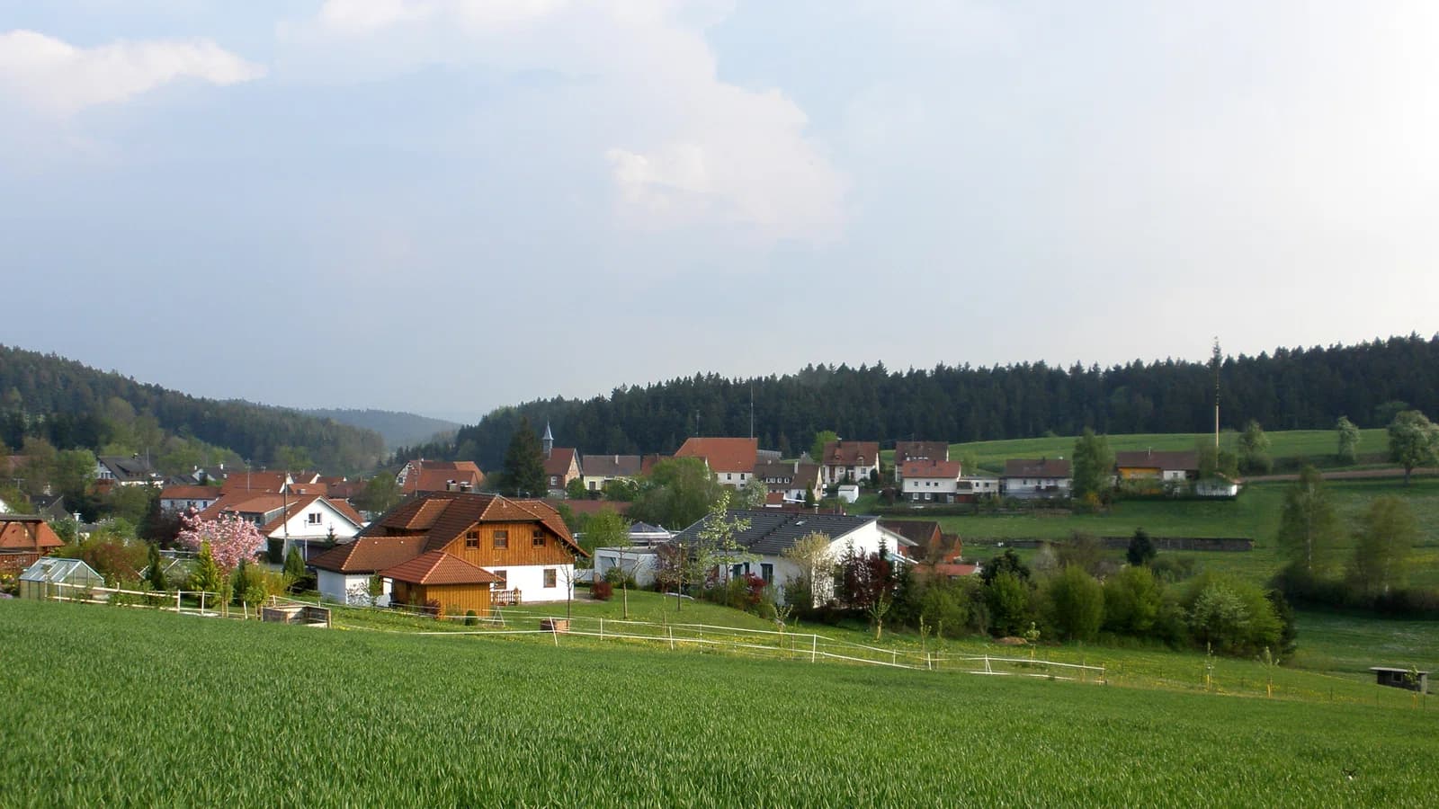Birkenlohe