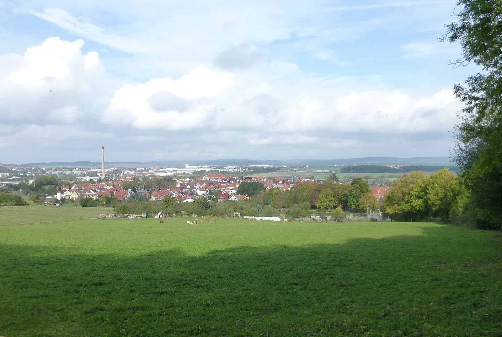 Birkungen
