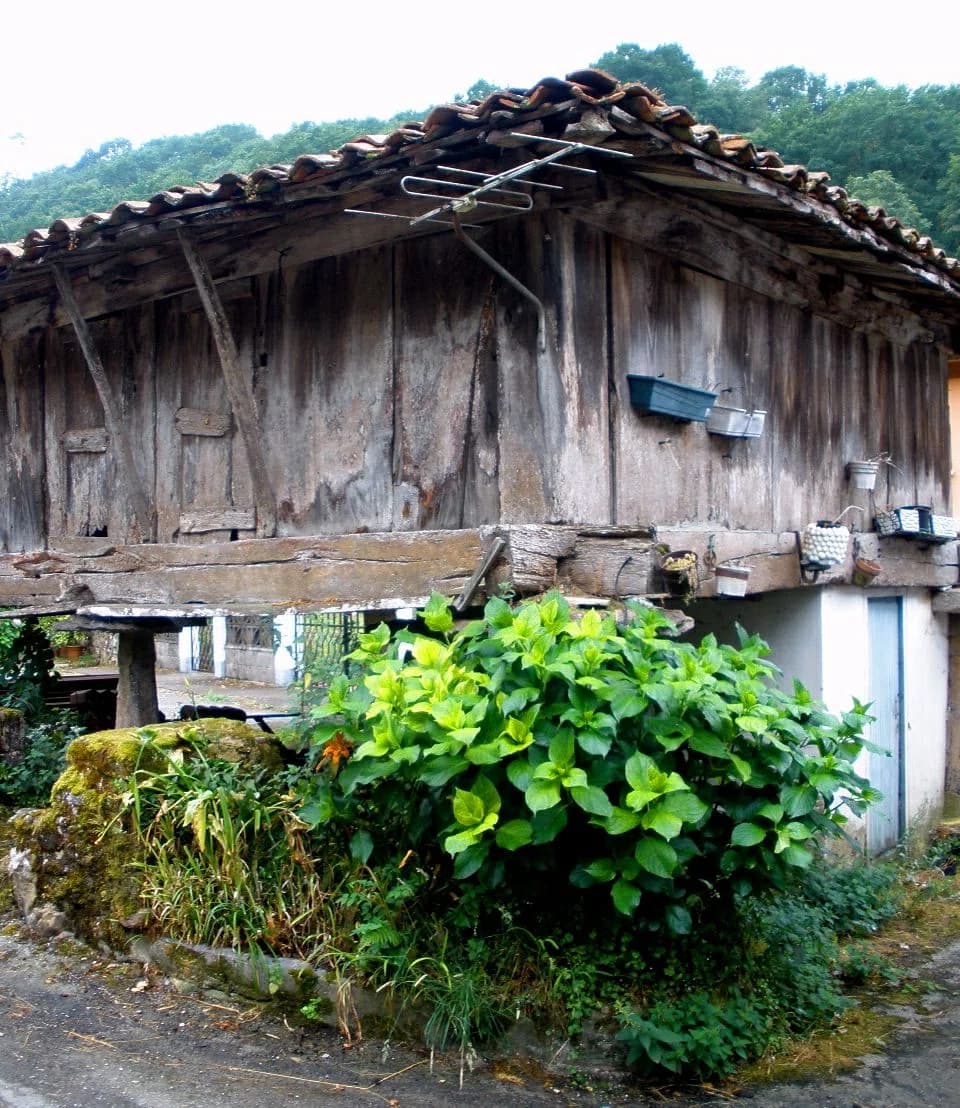 Villamayor