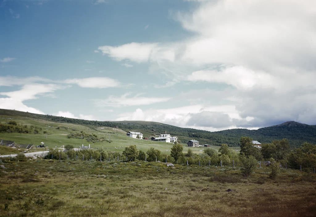 Hjerkinn