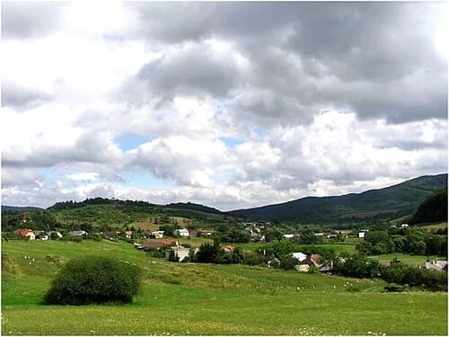 Dubová