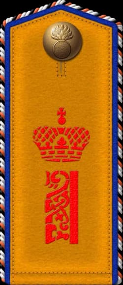 volunteer serving one year