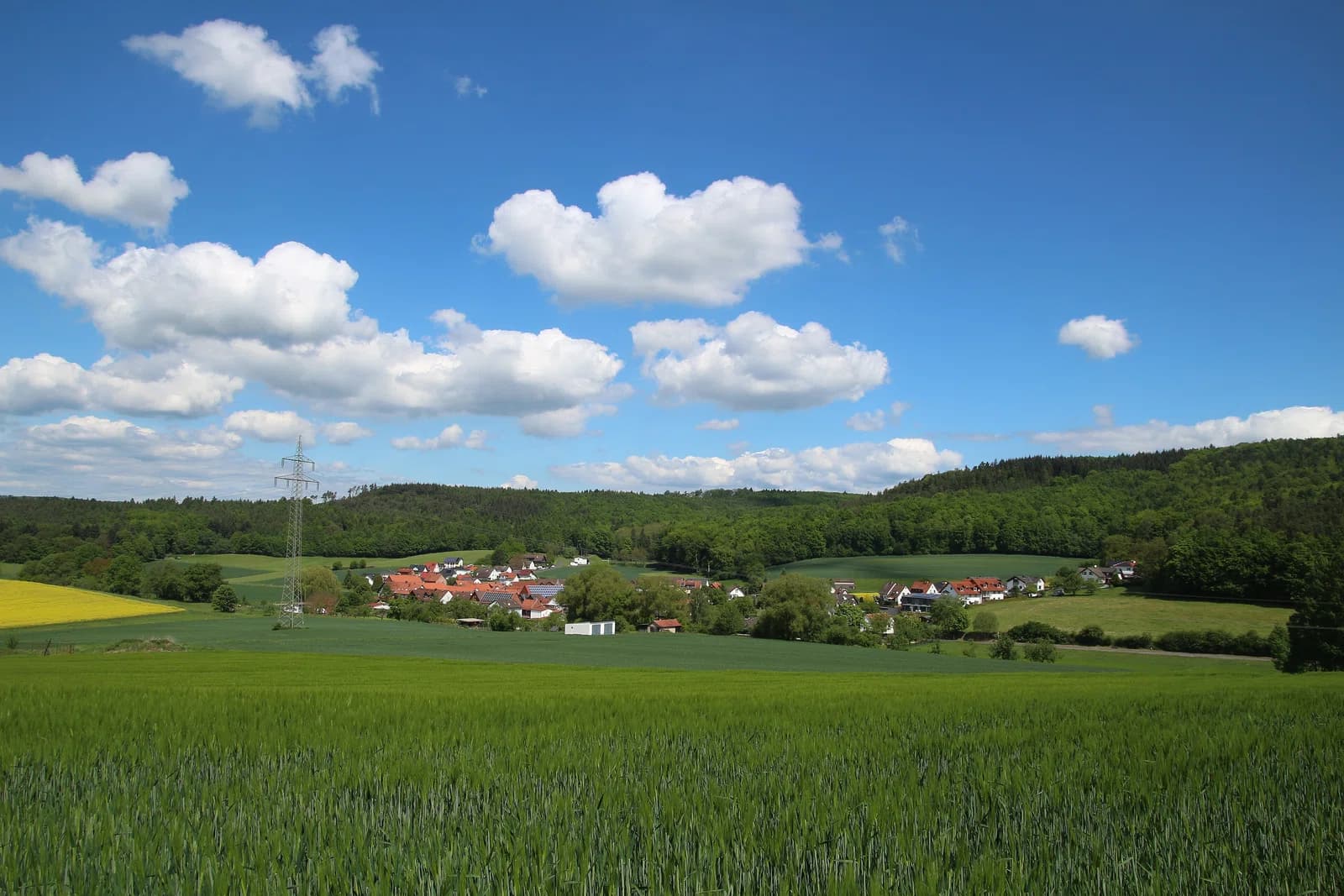 Bortshausen