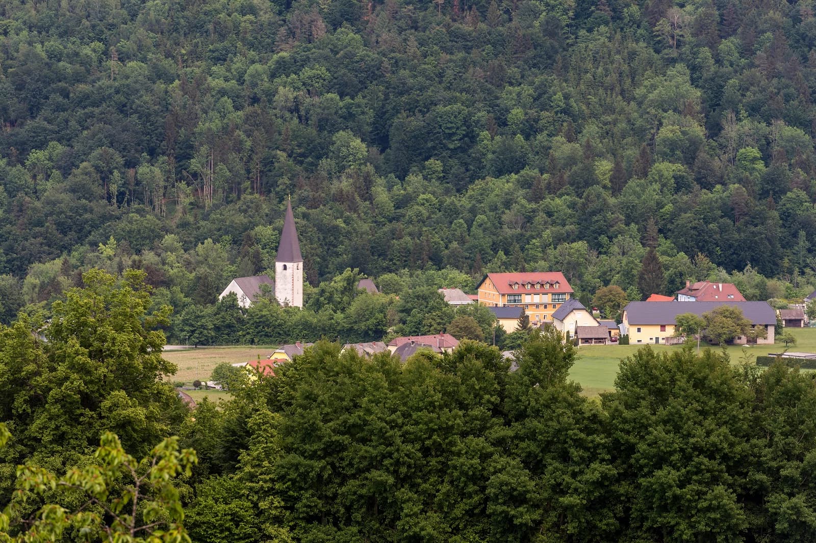 Gallizien