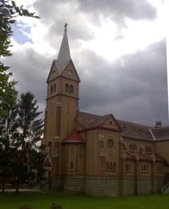 Dănești