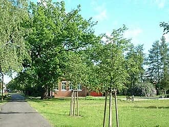 Kerzendorf