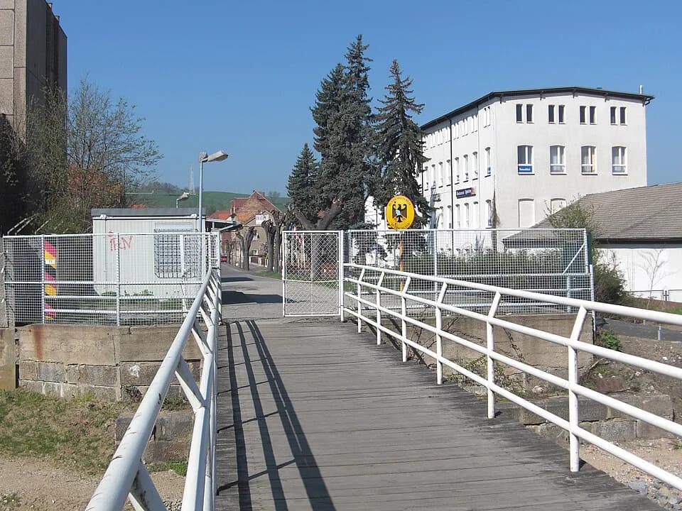 Krzewina
