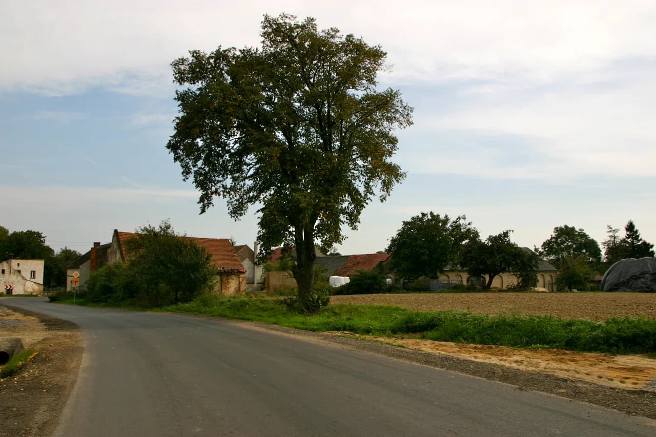 Blaschewitz