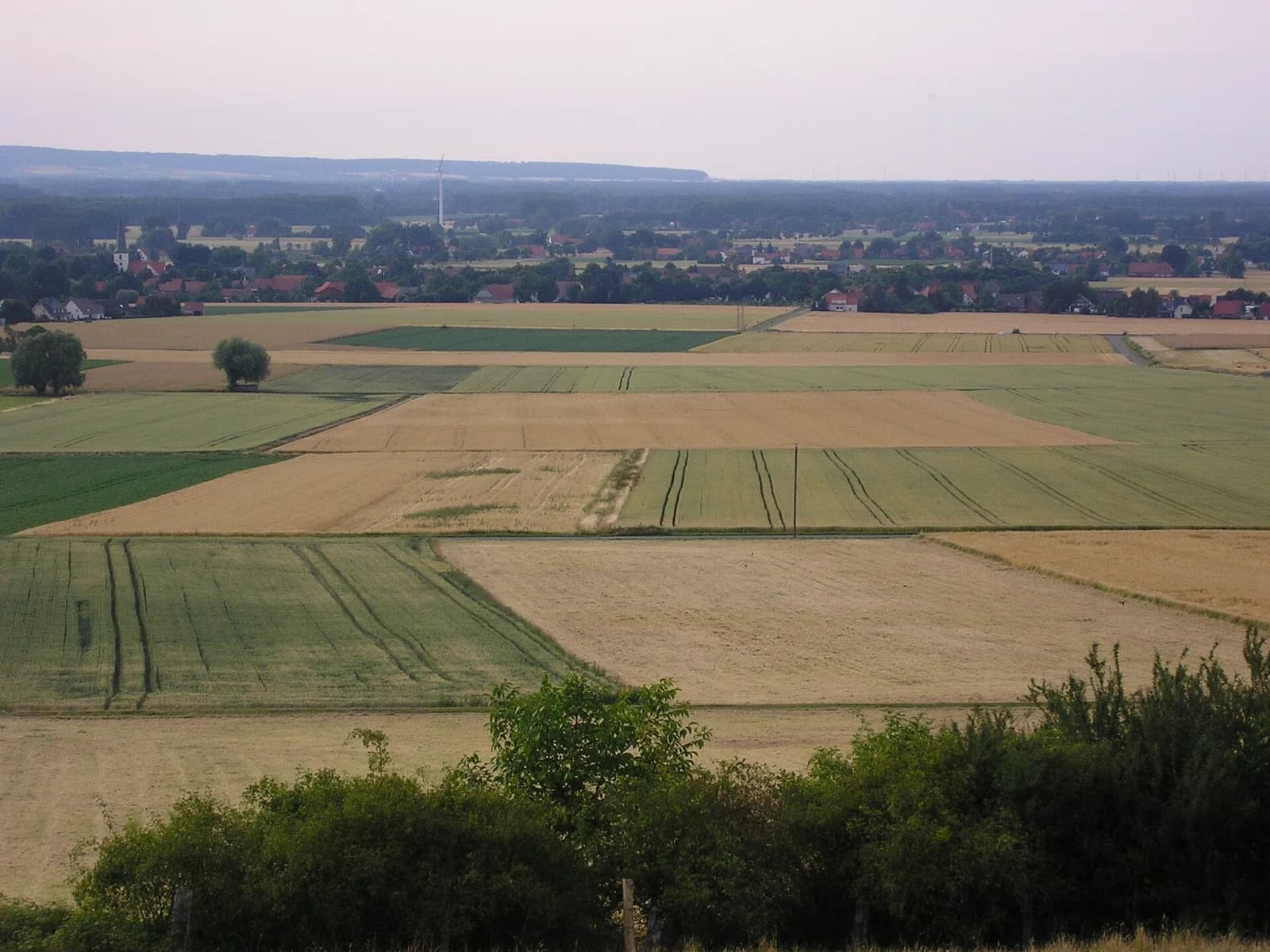 Blasheim