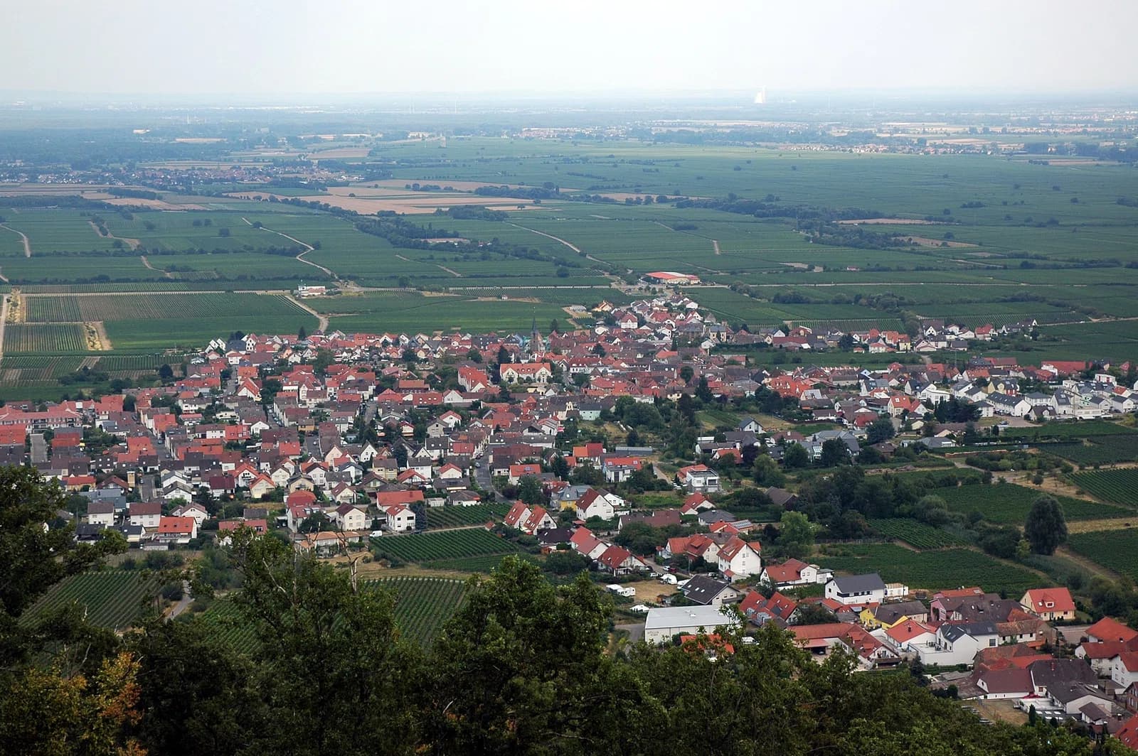 Diedesfeld