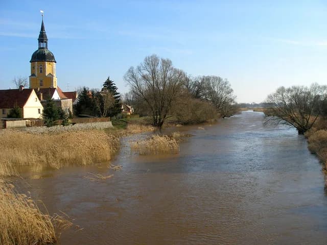 Schweinitz