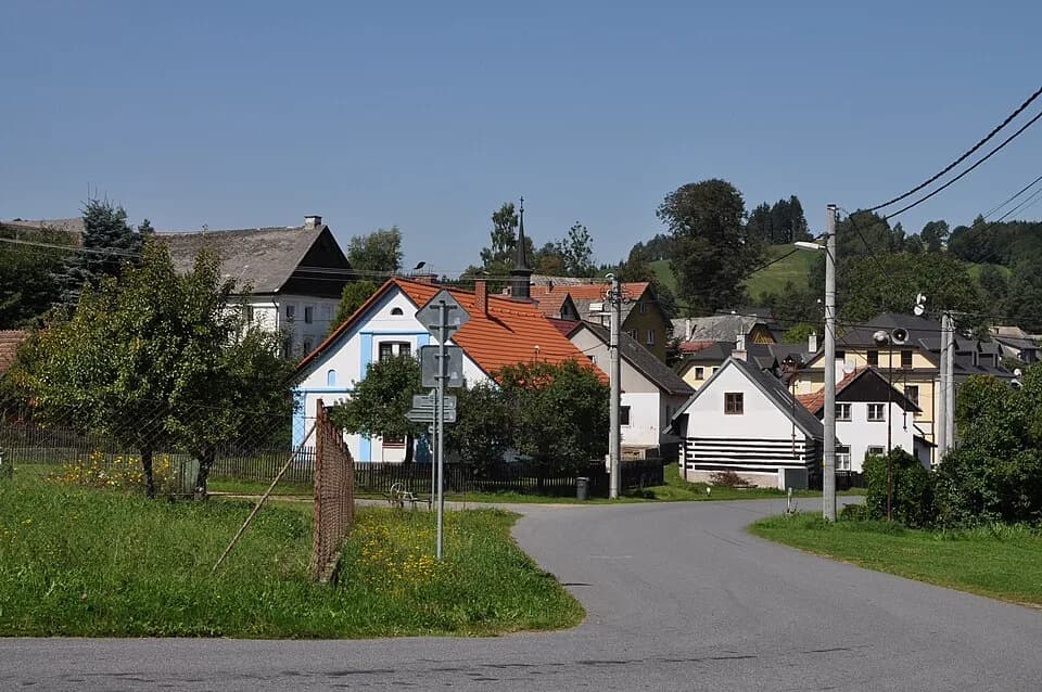 Borovnice