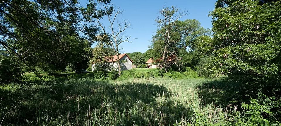 Borów
