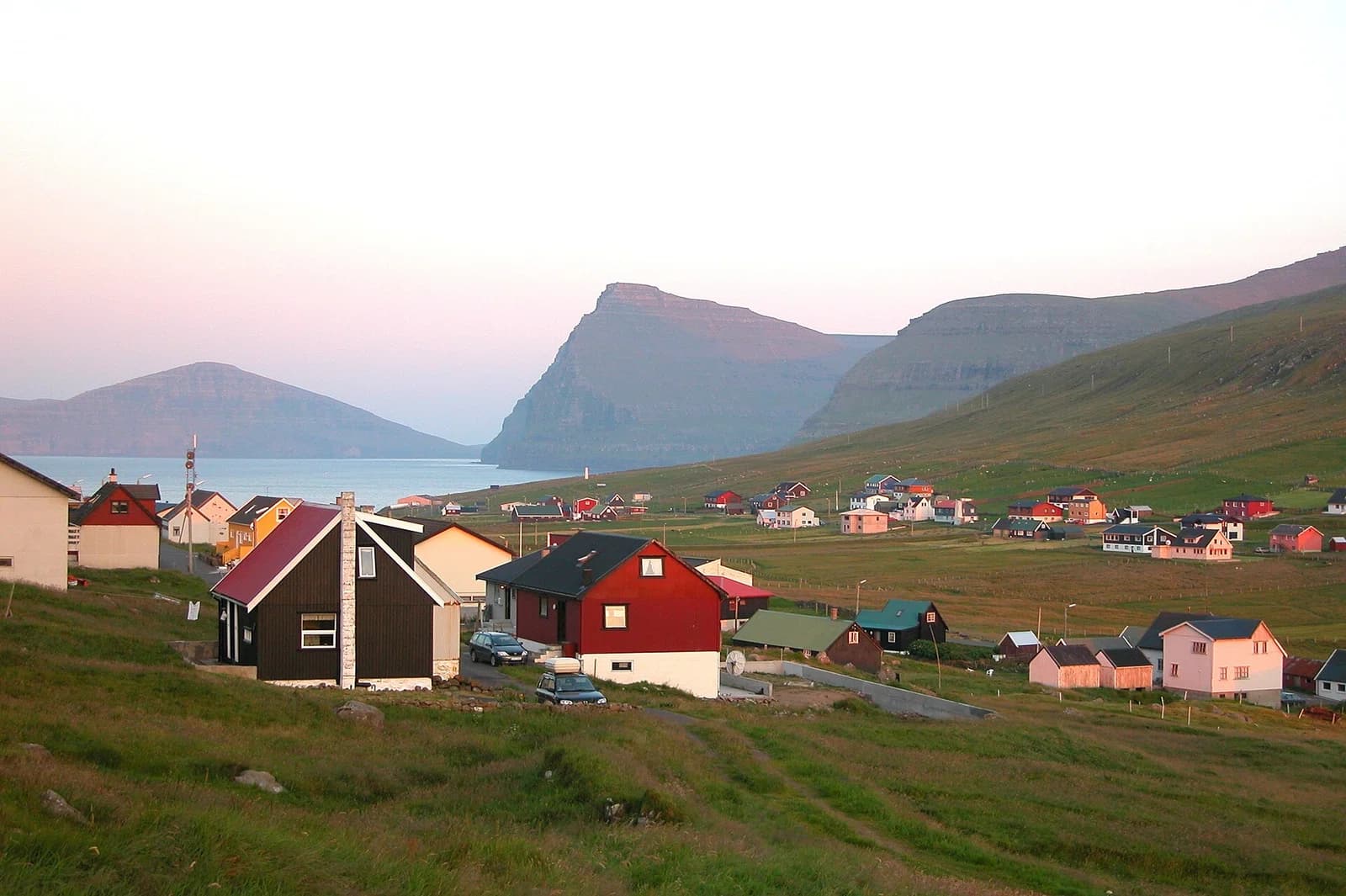 Viðareiði