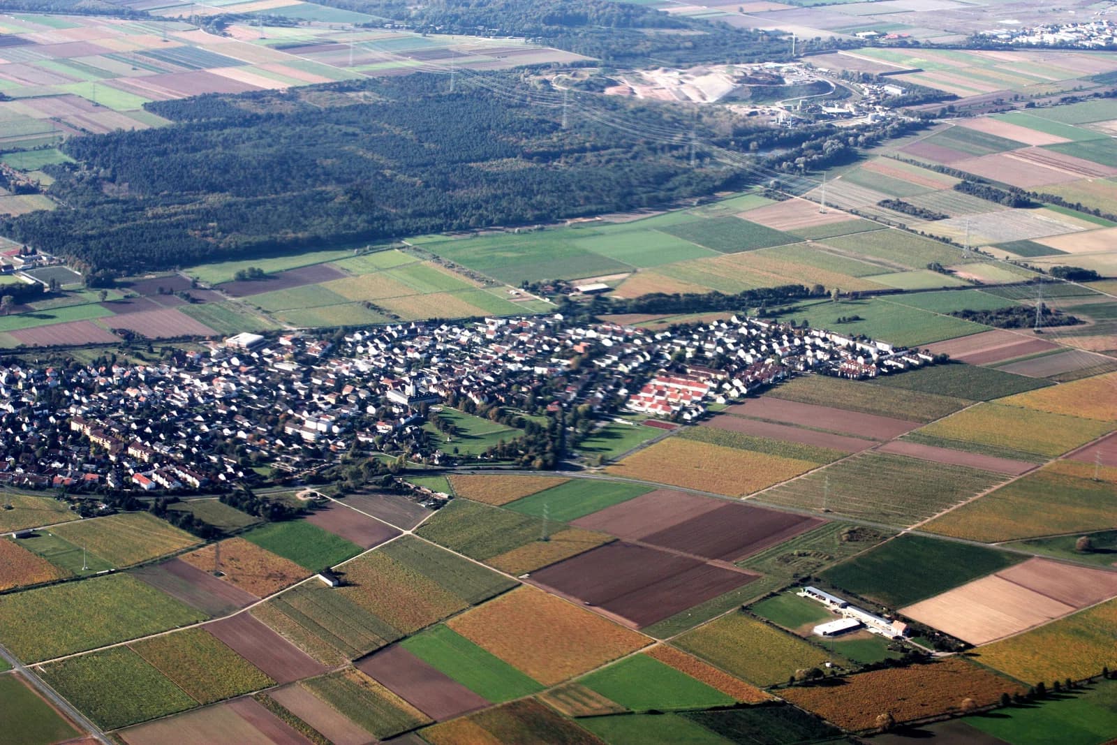 Braunshardt