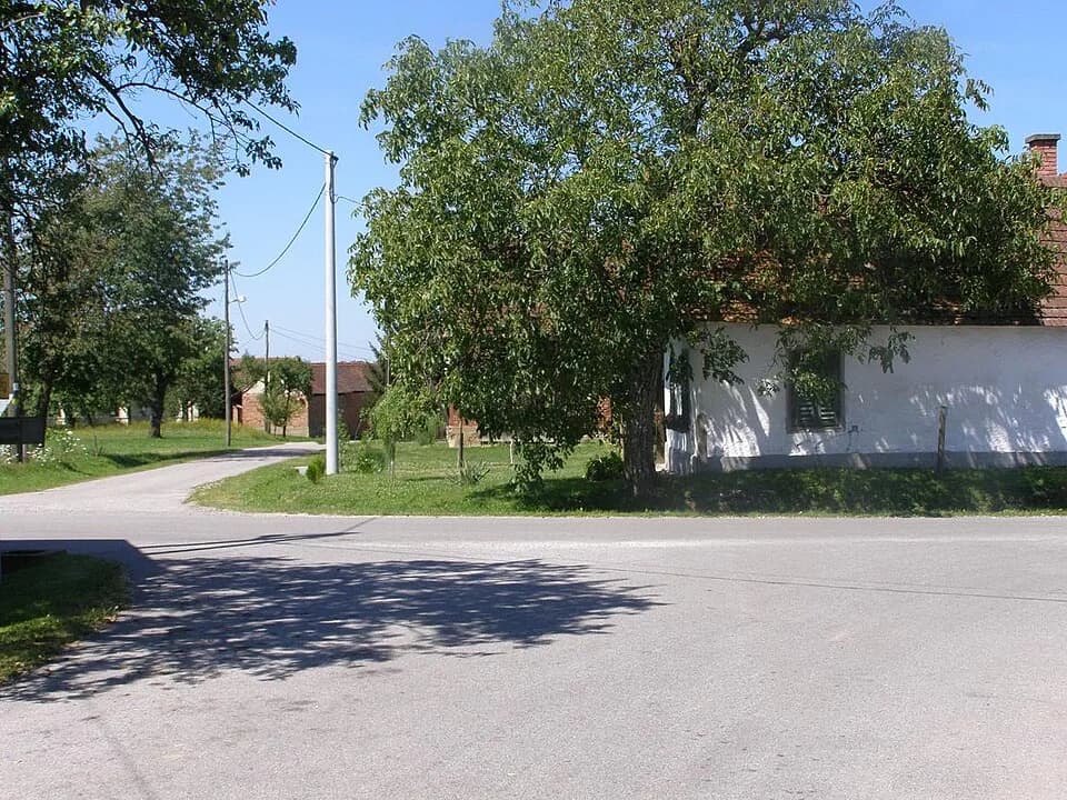 Šalamenci