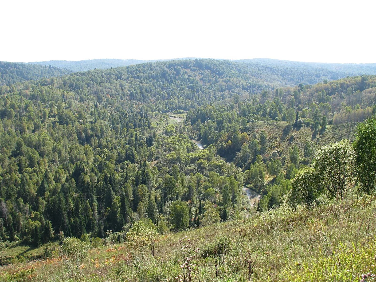 Nowokusnezki rajon