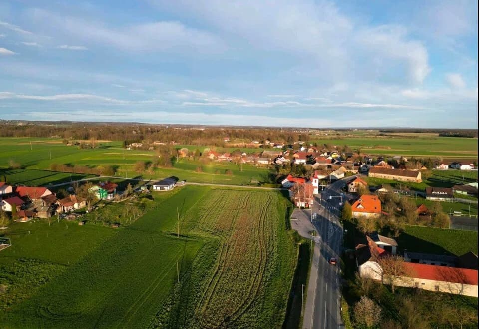Brezovci