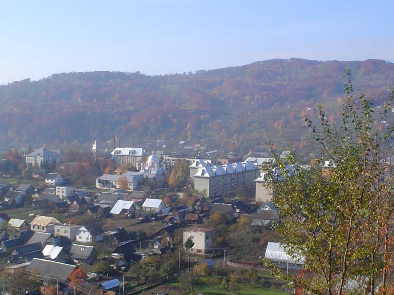 Dubowe