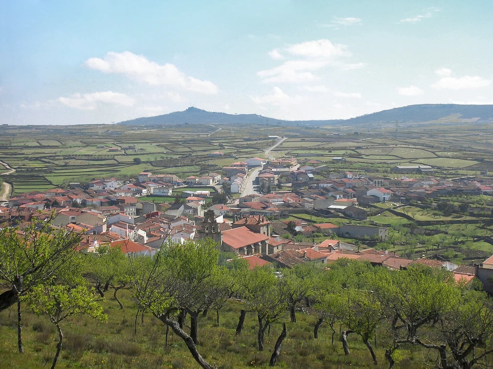 Vilvestre