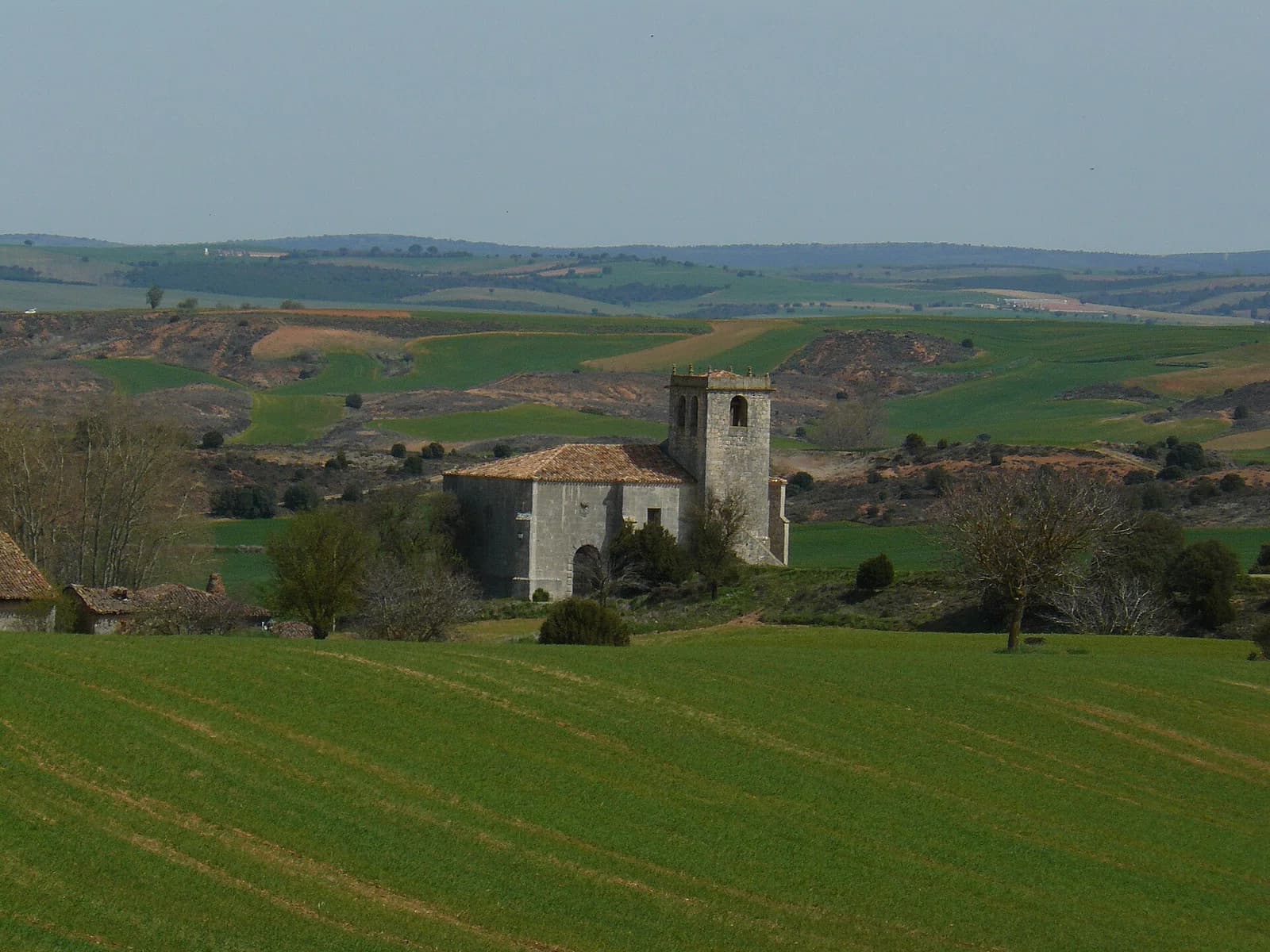 Villoviado