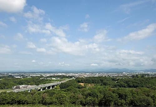 Ono