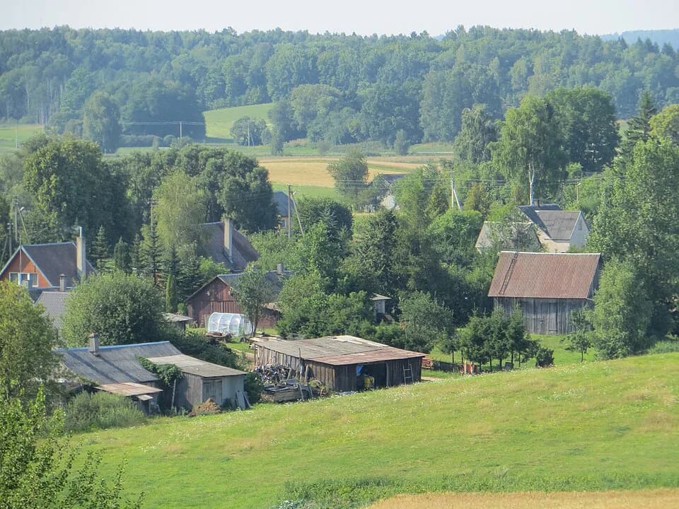 Avižieniai
