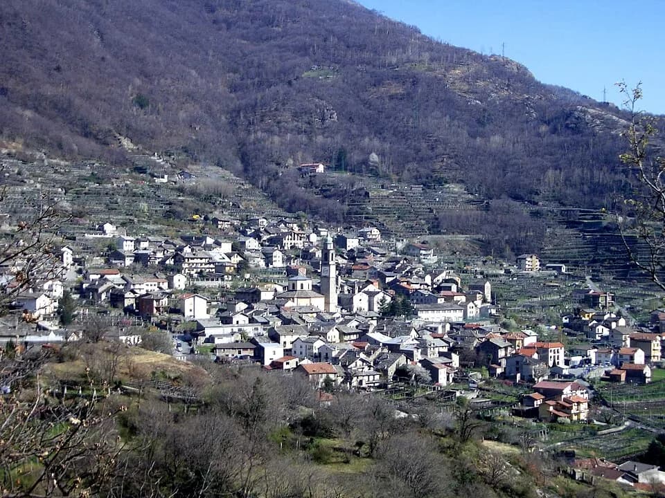 Carema
