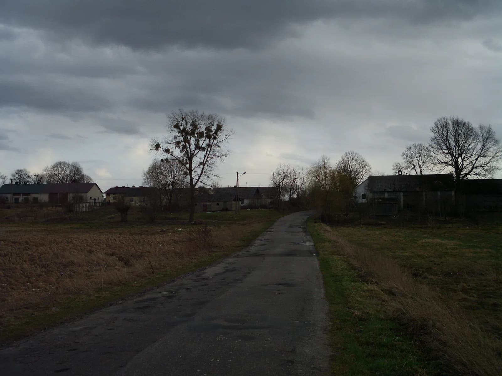 Bzite