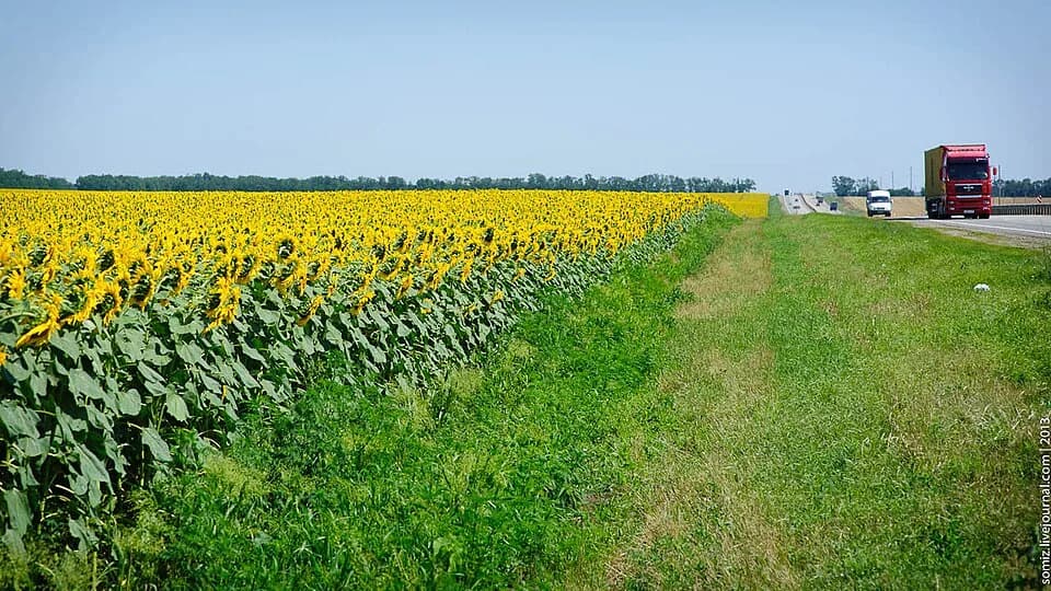 Vyselkovsky District