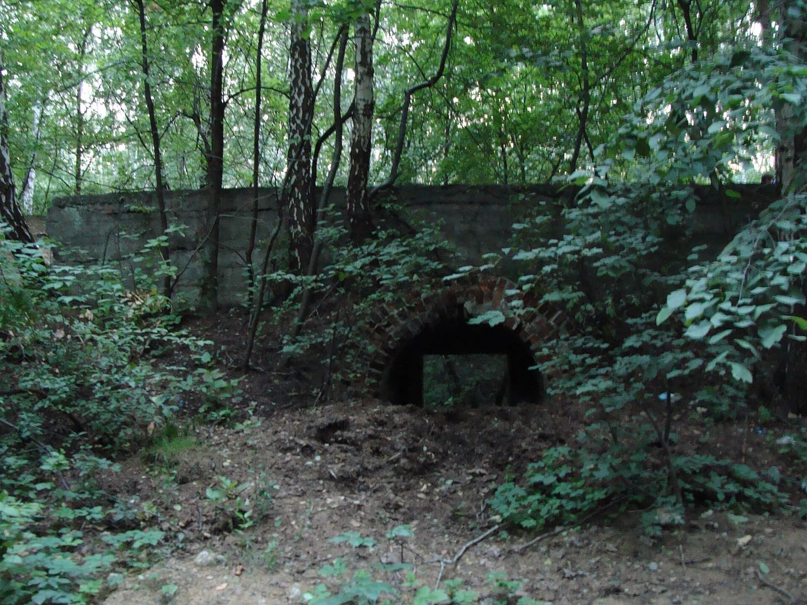 Dańdówka