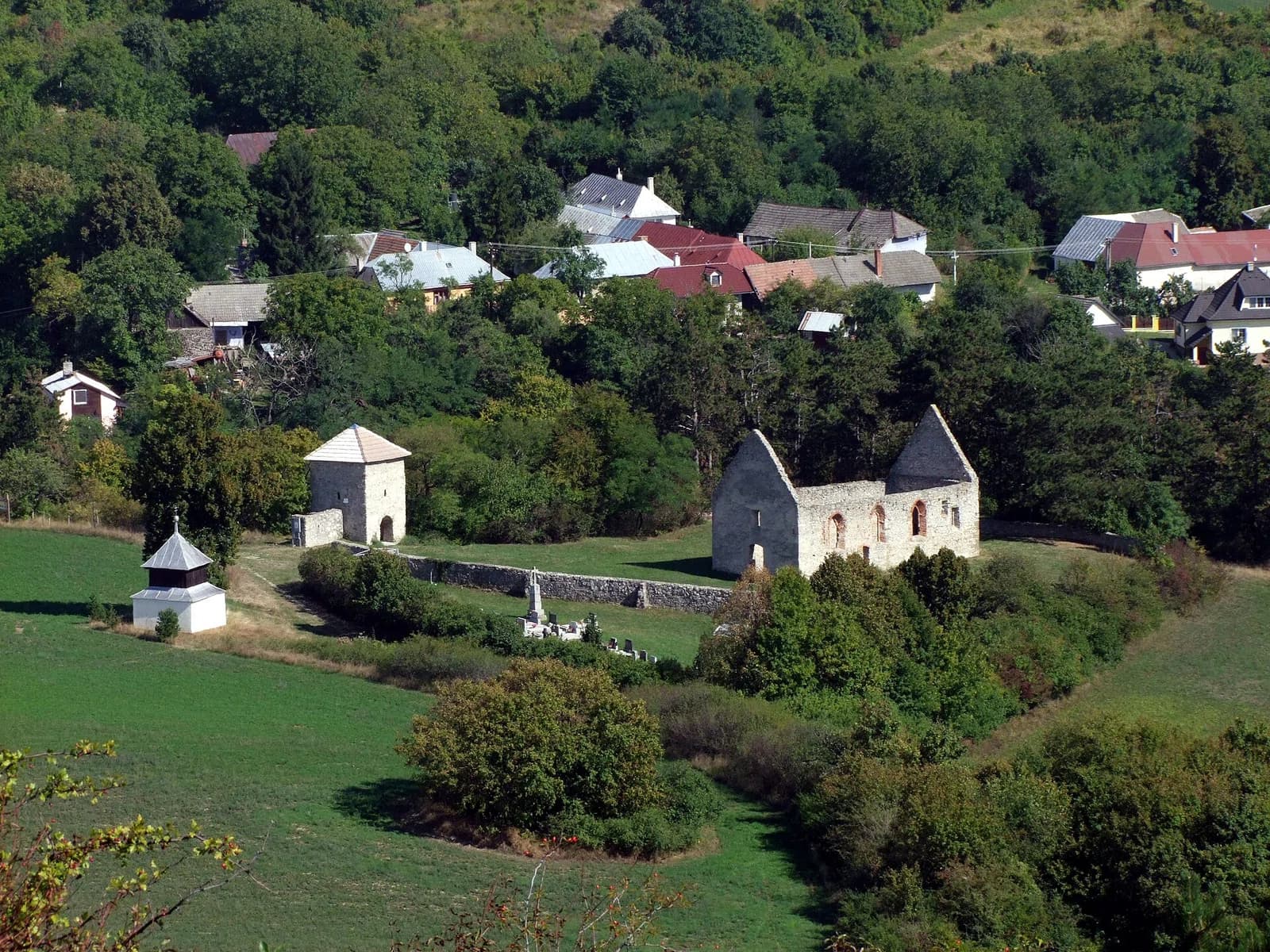 Haluzice