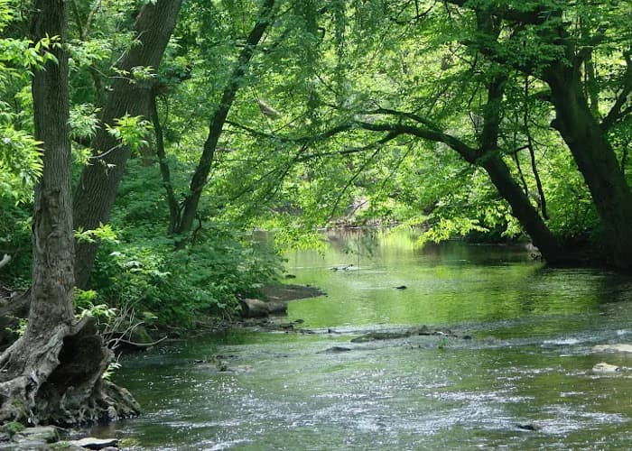 Haverford Township
