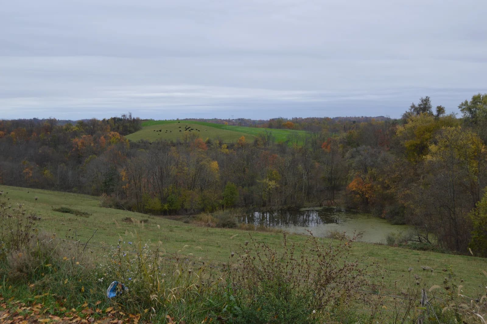 Washington Township
