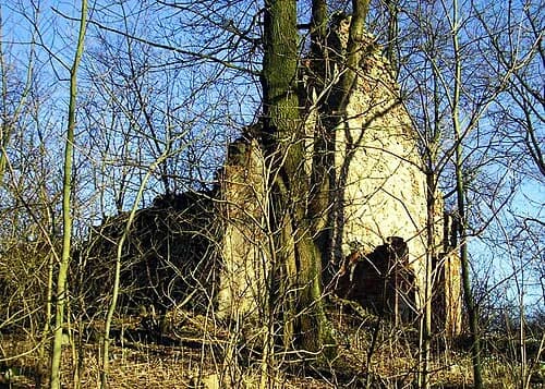 Dłusko