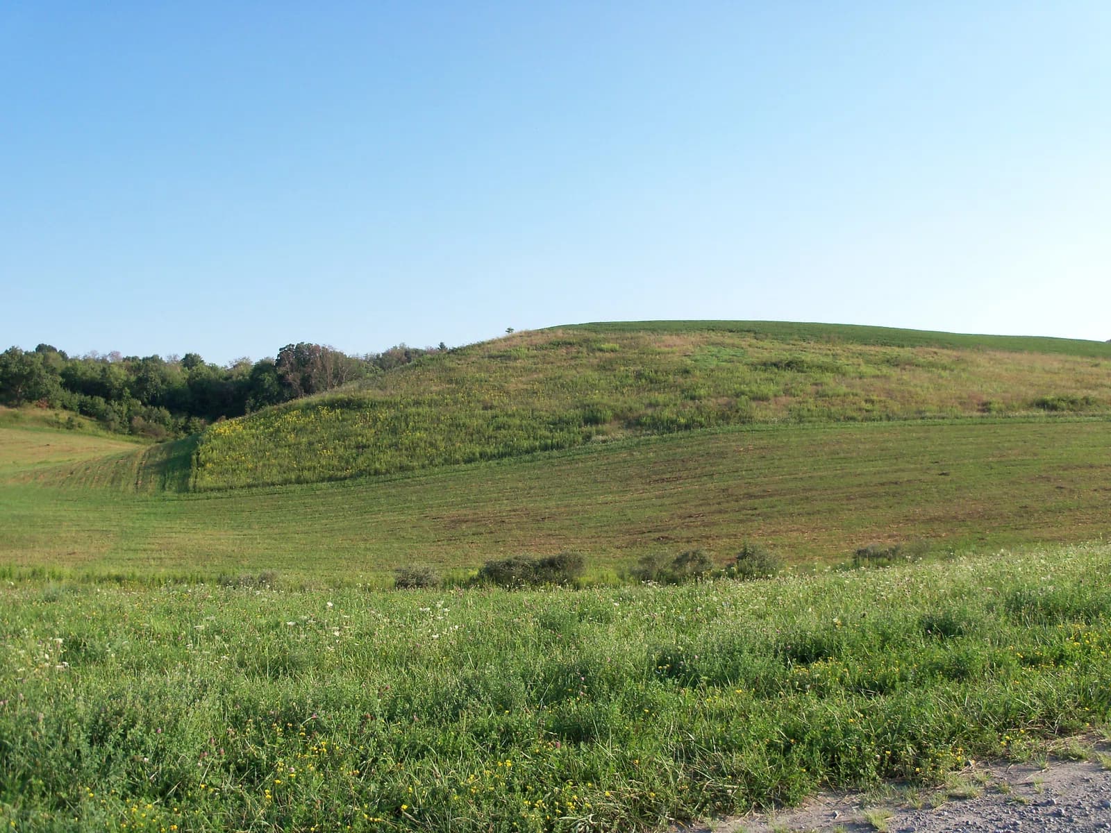 Fox Township