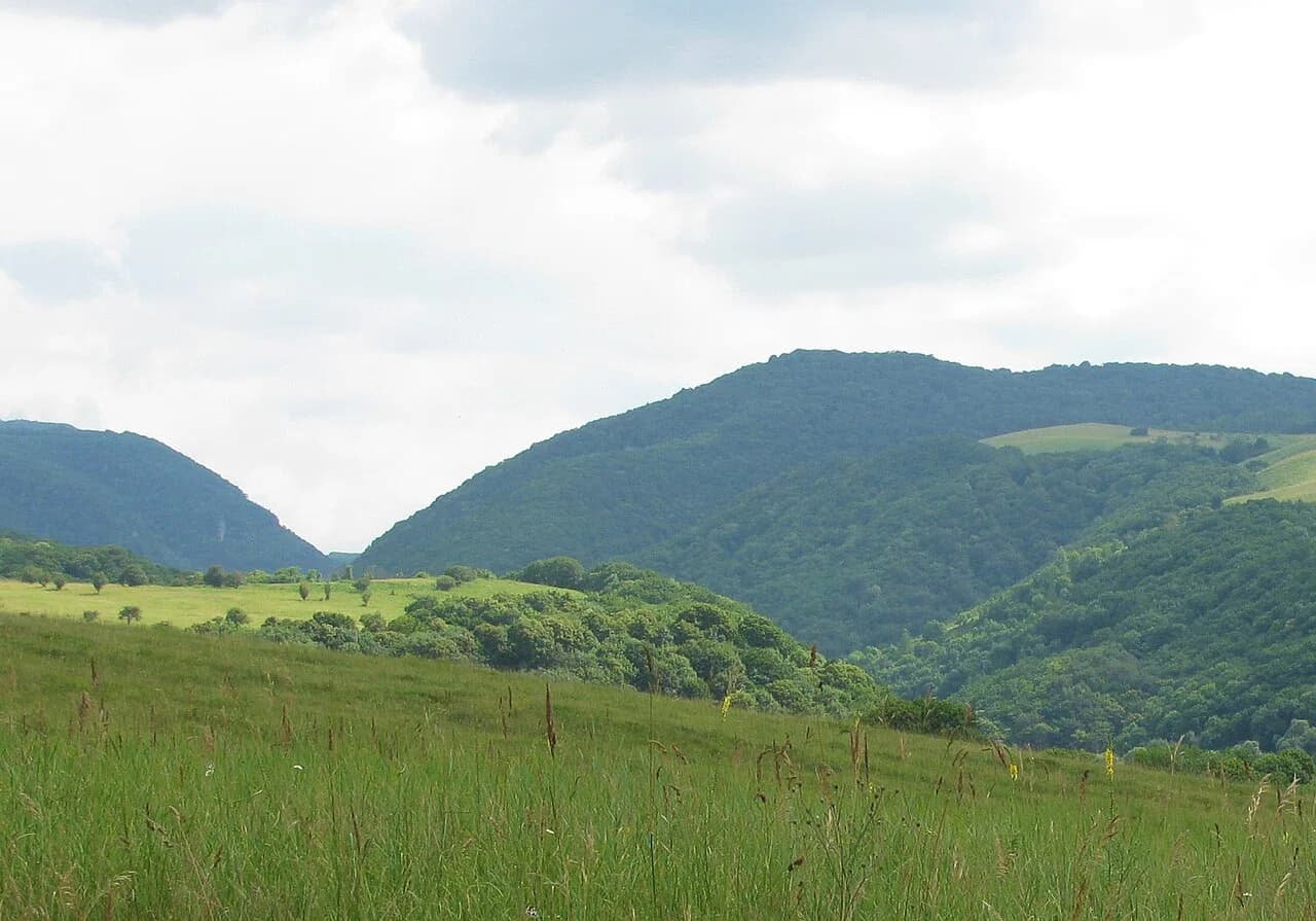 Otradnenski rajon