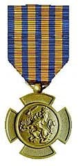 Bronze Lion