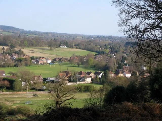 Shamley Green