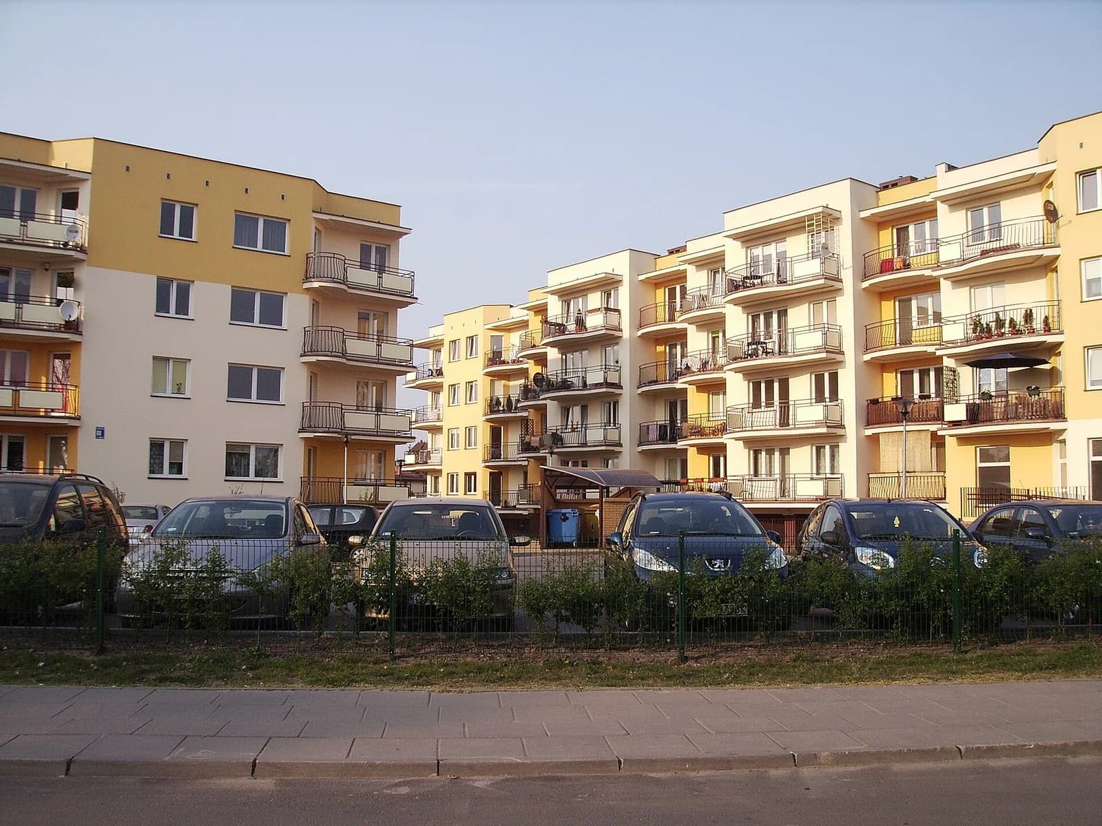 Rudak