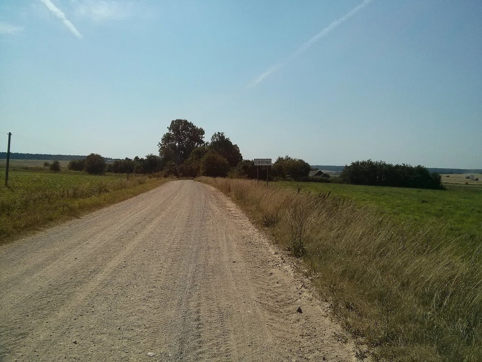Savičy