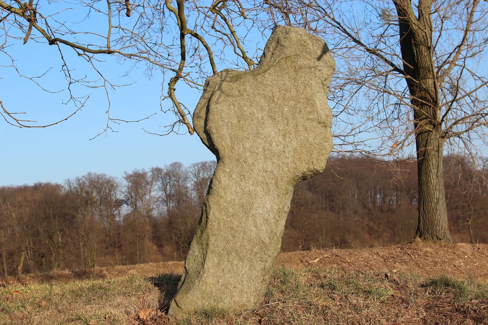 Skarszyn, Lower Silesian Voivodeship