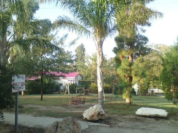 Regavim