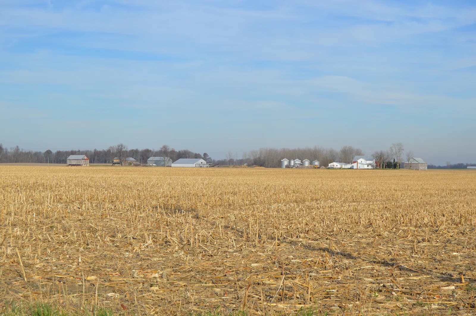 Washington Township