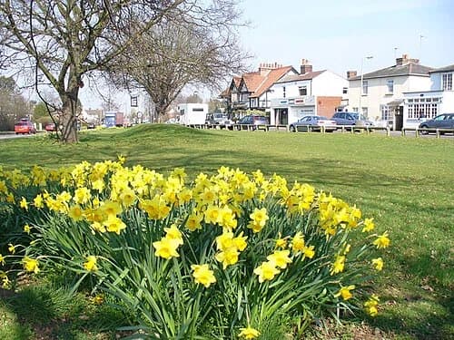 Weston Green